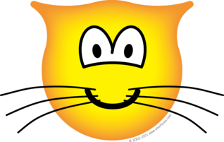 cat.png