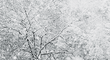 200.gif