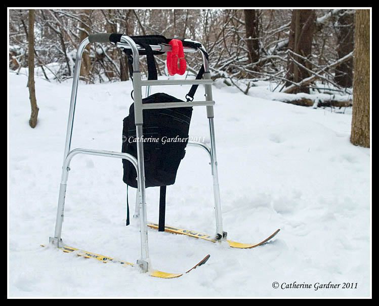 132852217.cuavgGwa.Walker_On_Skis_Feb_28_2011_2285698.jpg