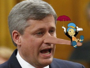 harper_nose.jpg