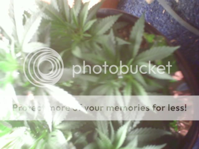 PICT0066.jpg