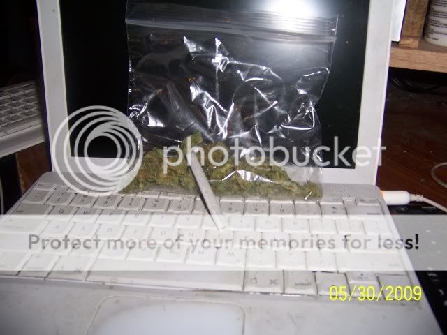 5f95fbb9.jpg
