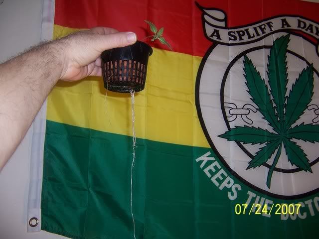000_1171.jpg