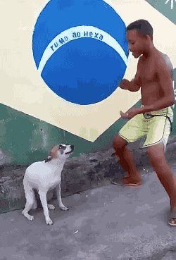 giphy.gif