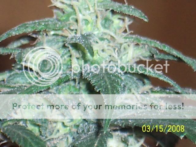 100_5695.jpg