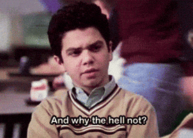 Because Why The Hell Not GIFs - Get the best GIF on GIPHY