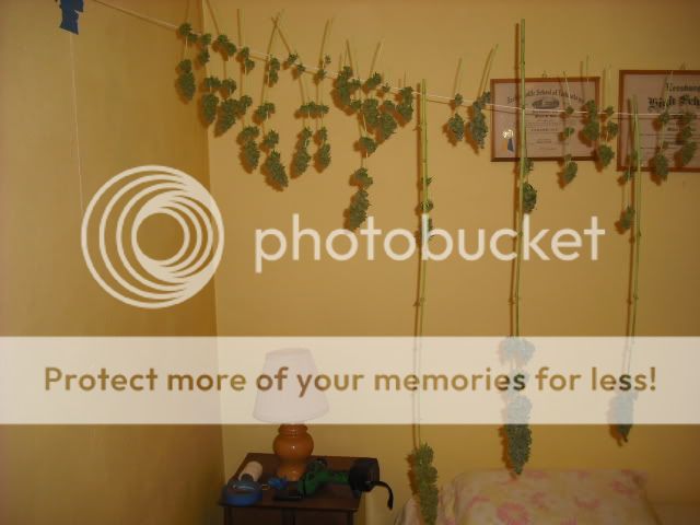 DSCF0302.jpg