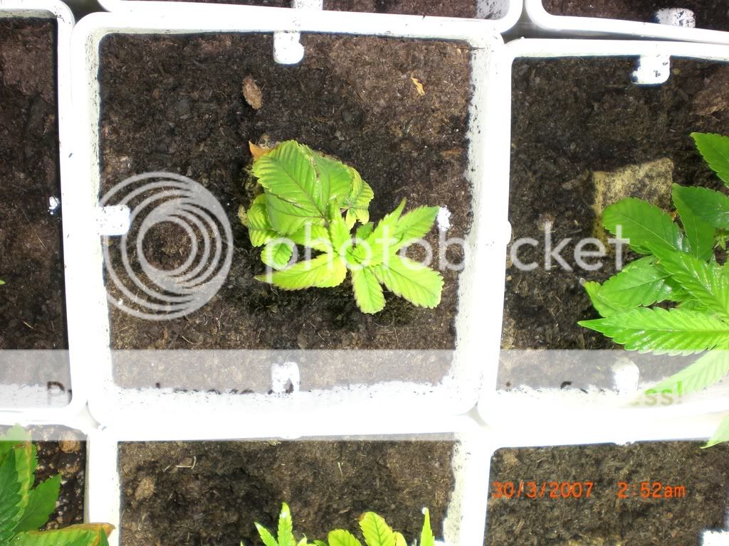Day28-6.jpg