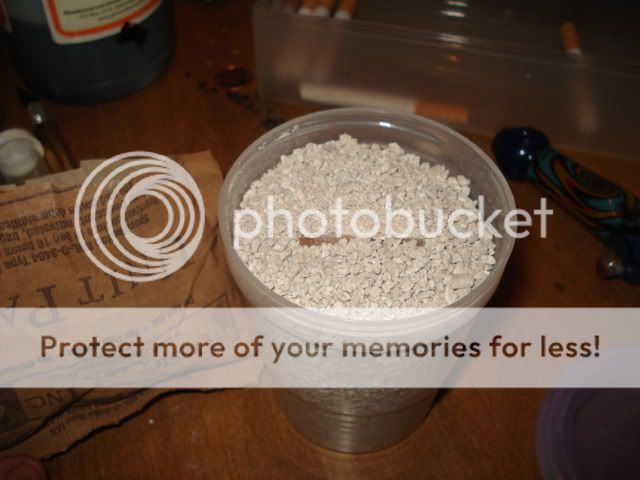 pollenship011.jpg