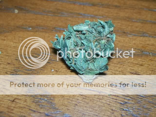 6g-1.jpg