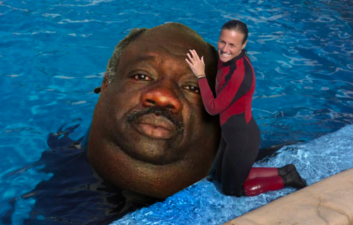 tumblr_lumy231XL01qldivyo1_500.png