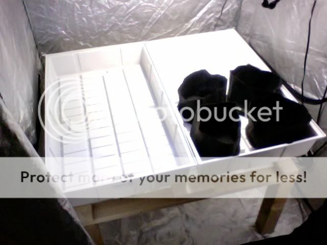 Photo31.jpg