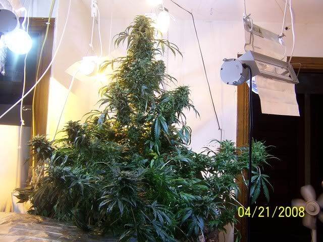 000_3253.jpg