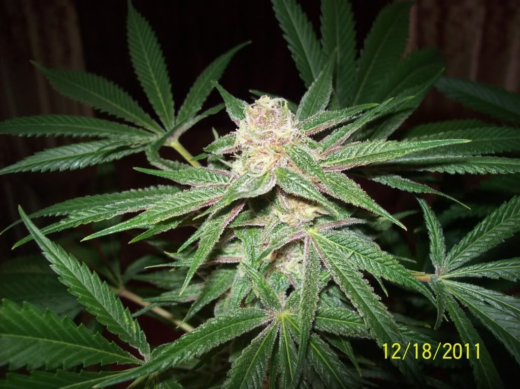 100_8766.jpg