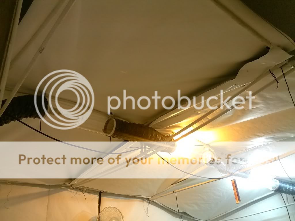 CAM00814_zps7fccd092.jpg