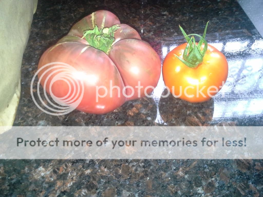 20140807_094504_1.jpg