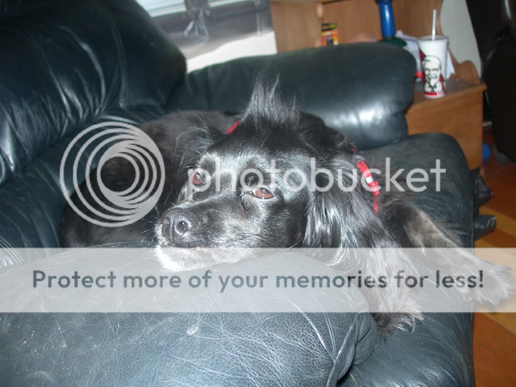 DSCN9201.jpg