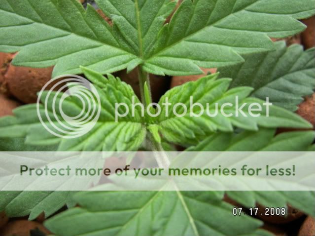 PICT0035.jpg