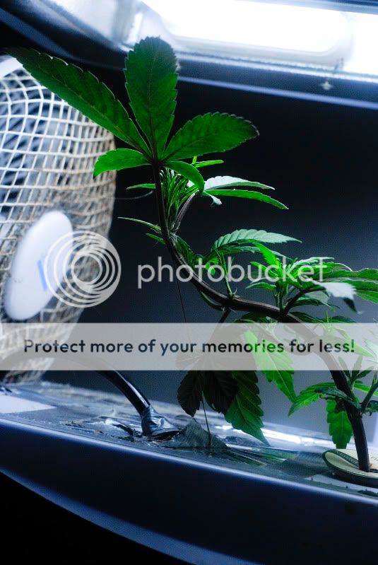_KMD4783.jpg