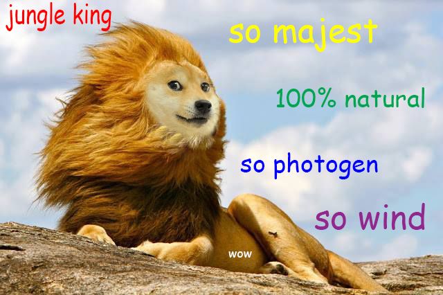 Doge+is+almighty+most+_b69df04b6aeb8c95eaec7547f4aa80ff.jpg