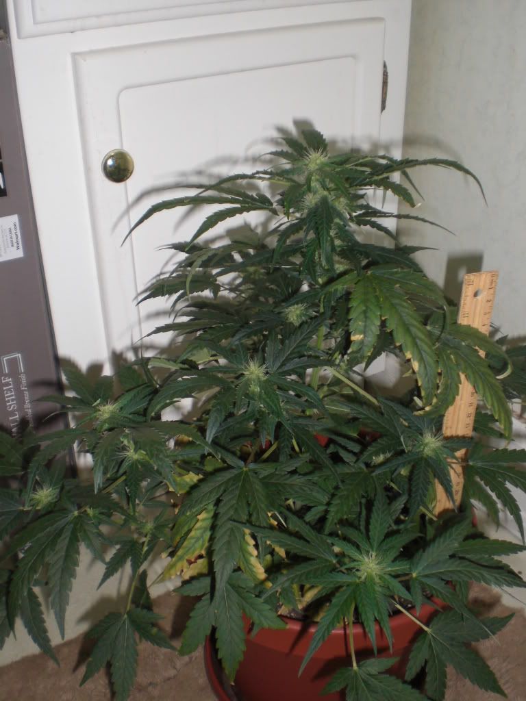 Oct21004.jpg