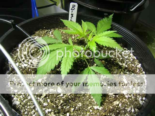 DSCN1058.jpg