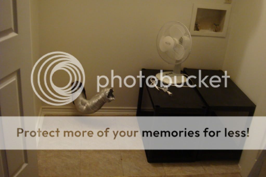 DSC04499-1.jpg