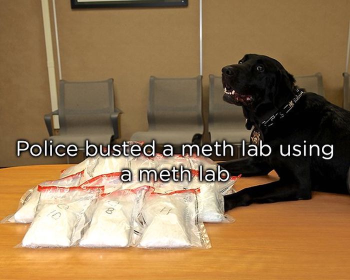 cops_are_people_too_17.jpg
