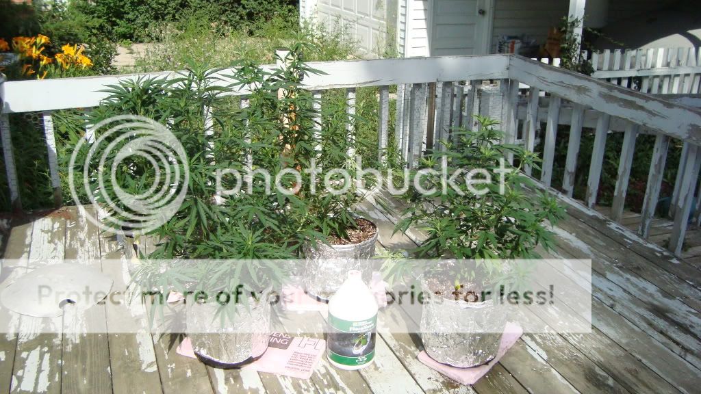 DSC02473.jpg