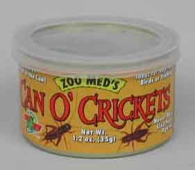 crickets.jpg