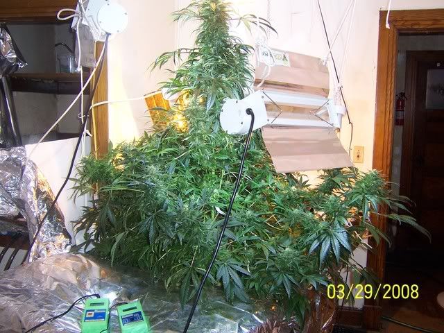 000_2982.jpg