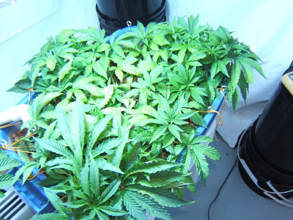 Day24Pretrim.jpg