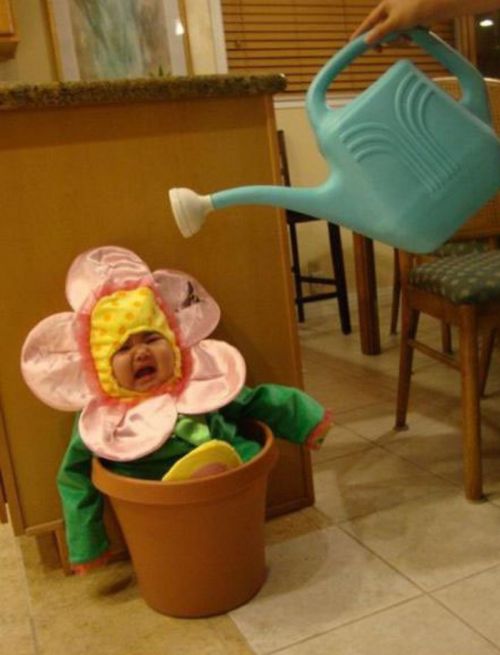 acid_picdump_97.jpg