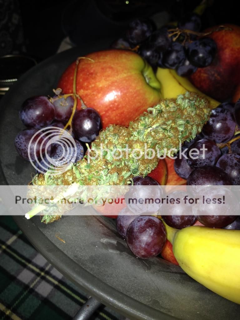 harvest003_zps61cf29b2.jpg
