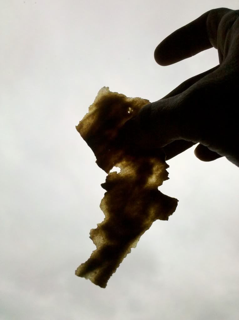 bubblesky3.jpg