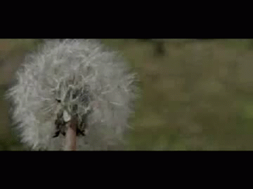 P2W.gif