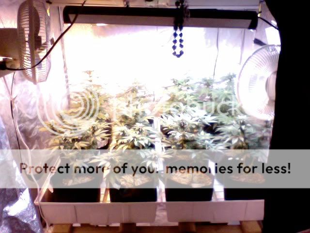 Photo7-1.jpg