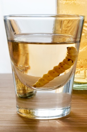 Mezcal-worm.jpg
