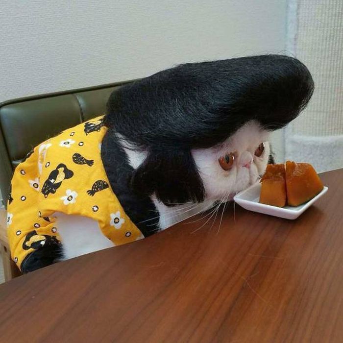 acid_picdump_83.jpg
