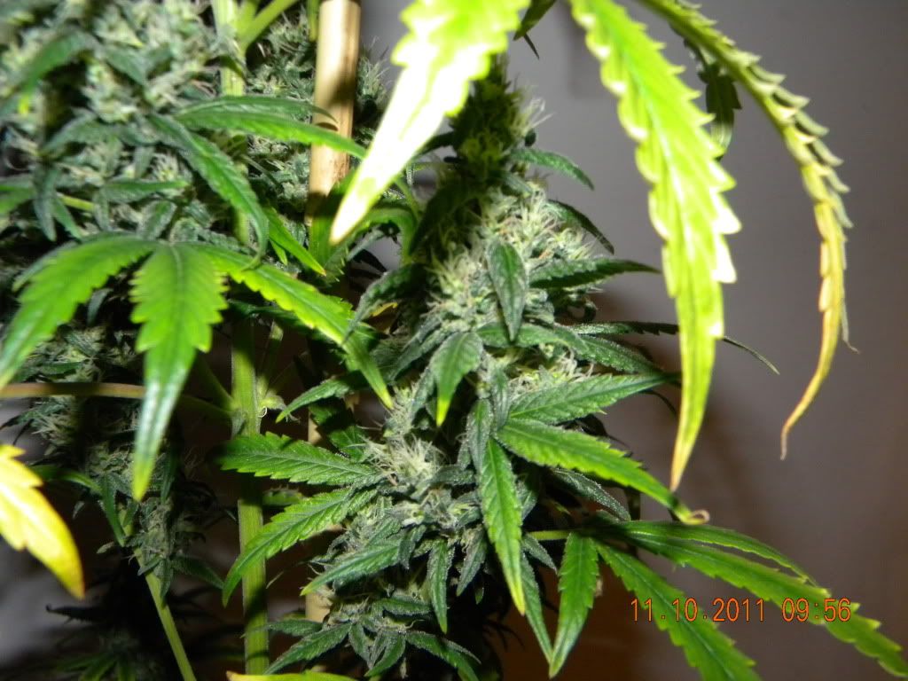 DSCN3031.jpg