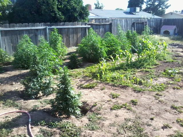 120522_007-1.jpg
