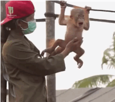 gifs_13.gif