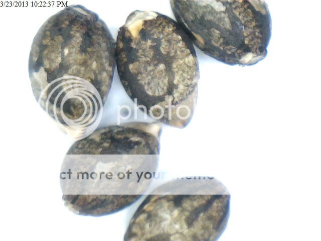 AOS_zpsd8691f79.jpg