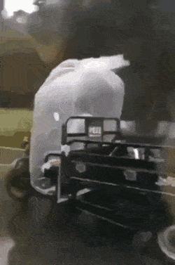 1656968492_4.gif