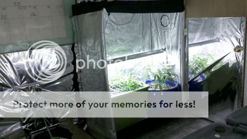 2011-02-25_09-22-57_179.jpg