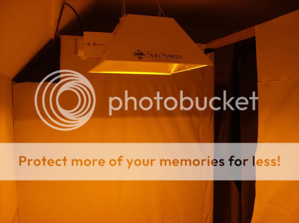 ImportedPhotos00144.jpg