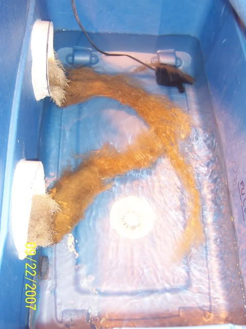 000_1602.jpg