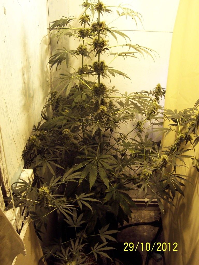 100_2804.jpg