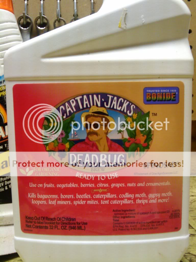 2011-04-29132436.jpg