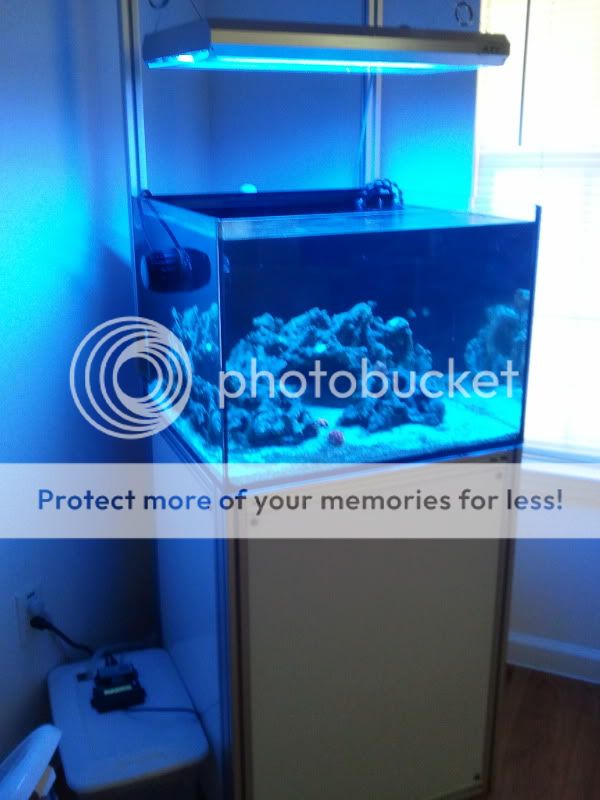 2011-03-10073546.jpg